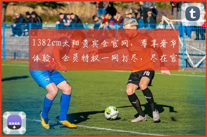 1382cm太阳贵宾会官网，尊享奢华体验，会员特权一网打尽，尽在官网逗逗乐