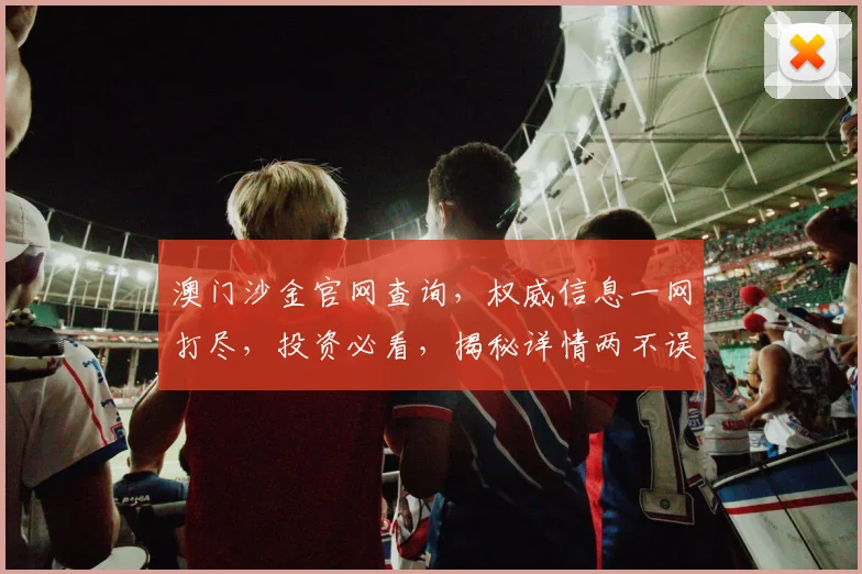 澳门沙金官网查询，权威信息一网打尽，投资必看，揭秘详情两不误