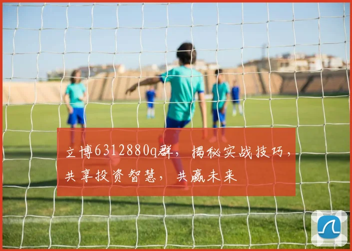 立博6312880q群，揭秘实战技巧，共享投资智慧，共赢未来