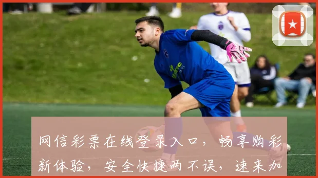 网信彩票在线登录入口，畅享购彩新体验，安全快捷两不误，速来加入